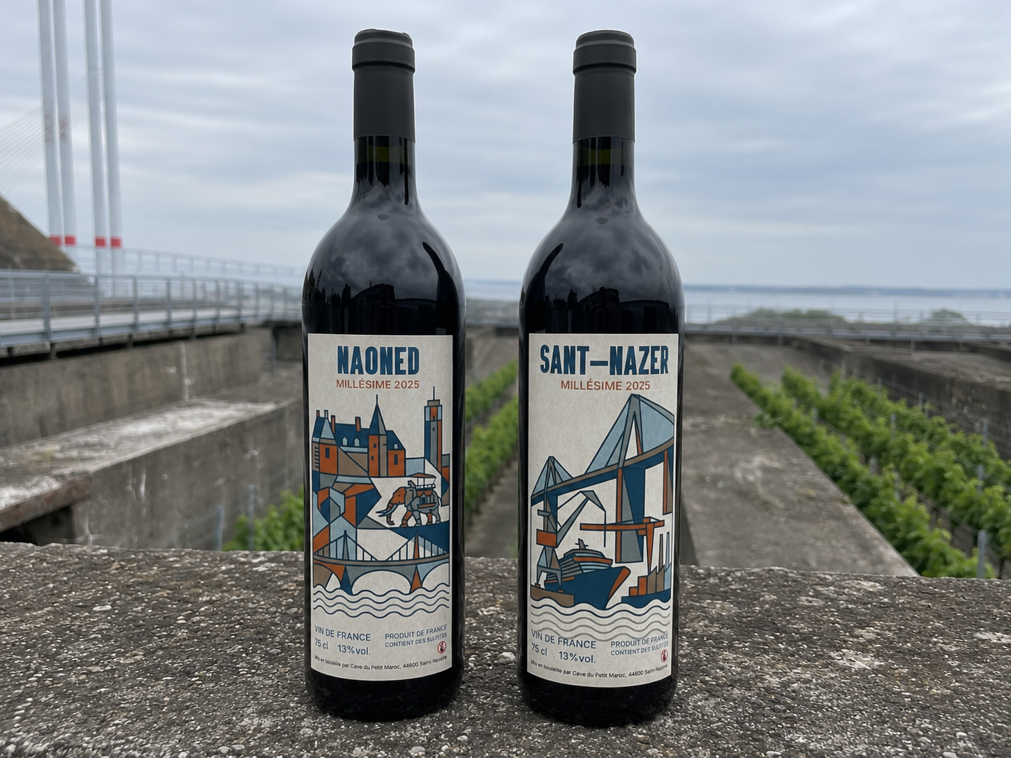 Vins